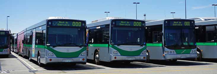 Transperth Mercedes O405NH Volgren CR226L 1217 & 1219 and Volvo B12BLEA CR228L 3018